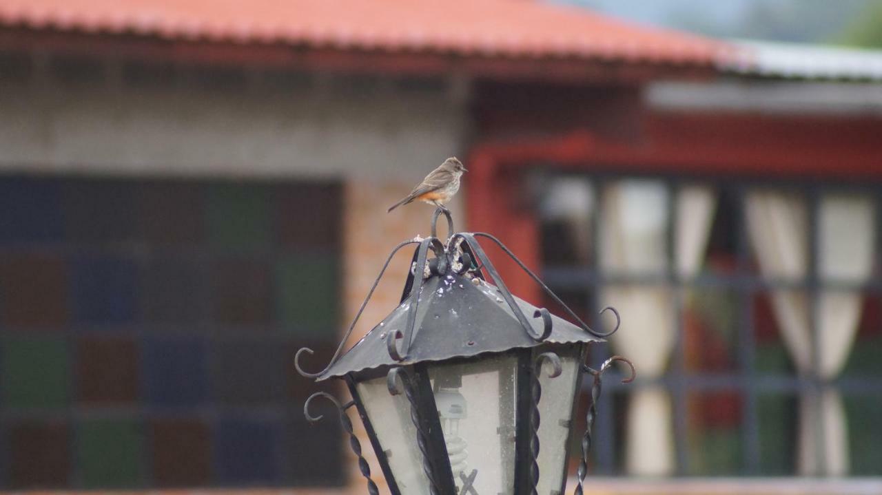 Rio Estigia Inn Tlalpujahua ภายนอก รูปภาพ